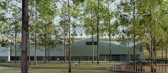 Modern building with large windows, surrounded by tall trees and a small wooden footbridge over a pond.