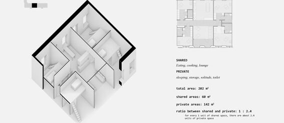 3D floor plan of an apartment with shared and private areas. Total area: 202 m², shared: 60 m², private: 142 m².