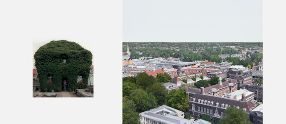 Two images: one of a building covered in dense greenery, another of a cityscape with various buildings and trees.