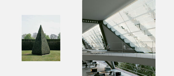 Left: A conical hedge in a garden. Right: A modern office with large windows and desks.