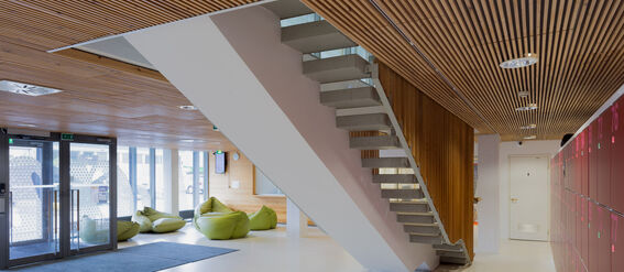 Modern interior with wooden ceiling, floating stairs, green bean bags, and red lockers. Large windows and glass doors.