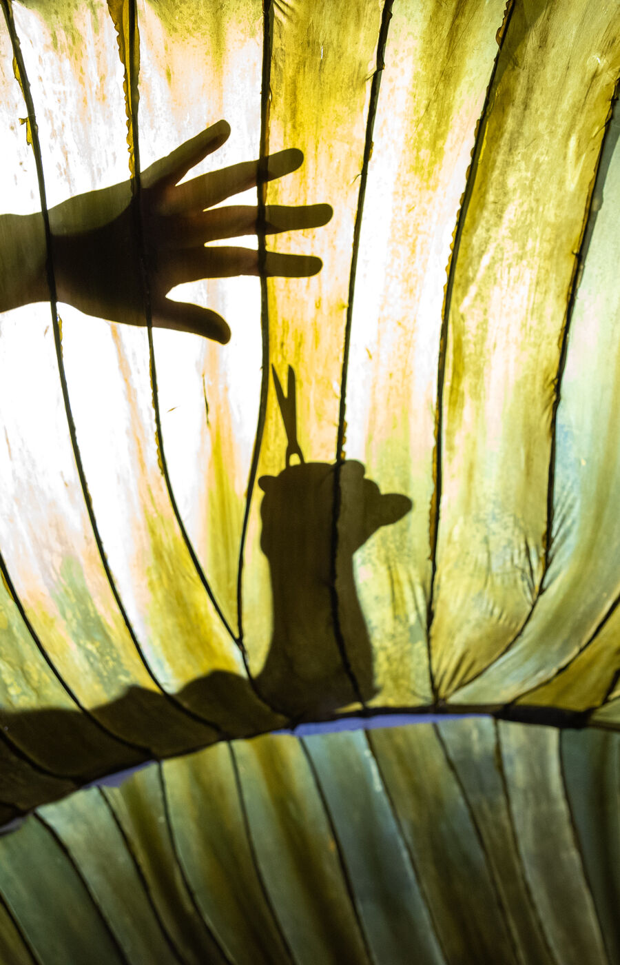 Julia Lohmannin Hidaka Ohmu. Kuva Mikko Raskinen