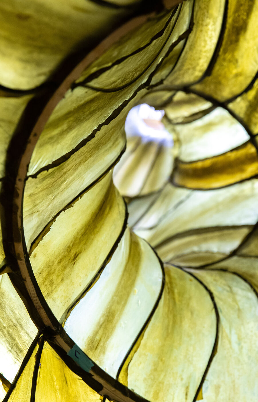 Julia Lohmannin Hidaka Ohmu. Kuva: Mikko Raskinen