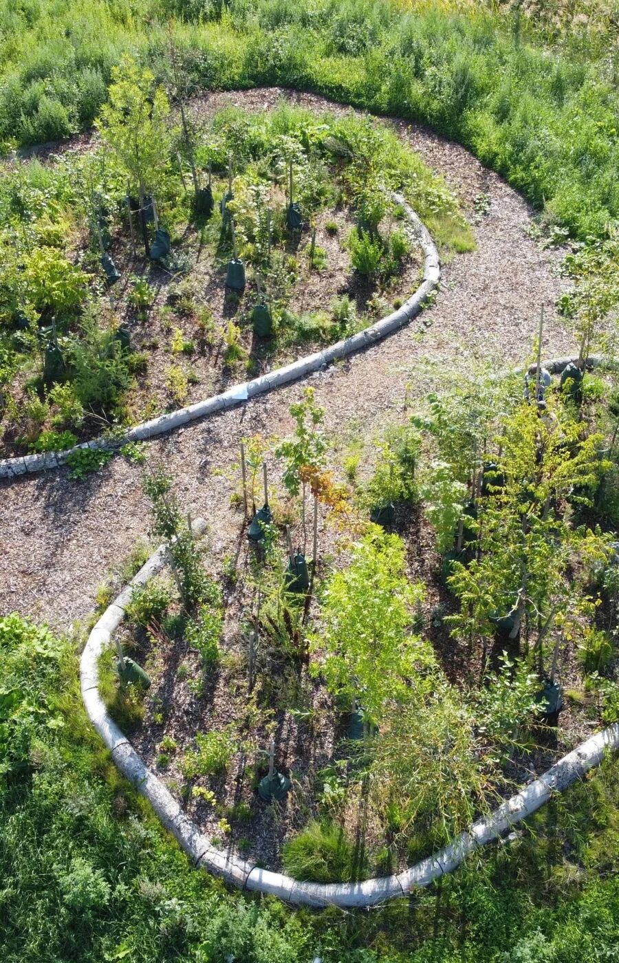 Aerial view of a garden with winding paths, surrounded by greenery and trees, bordered by white stones.