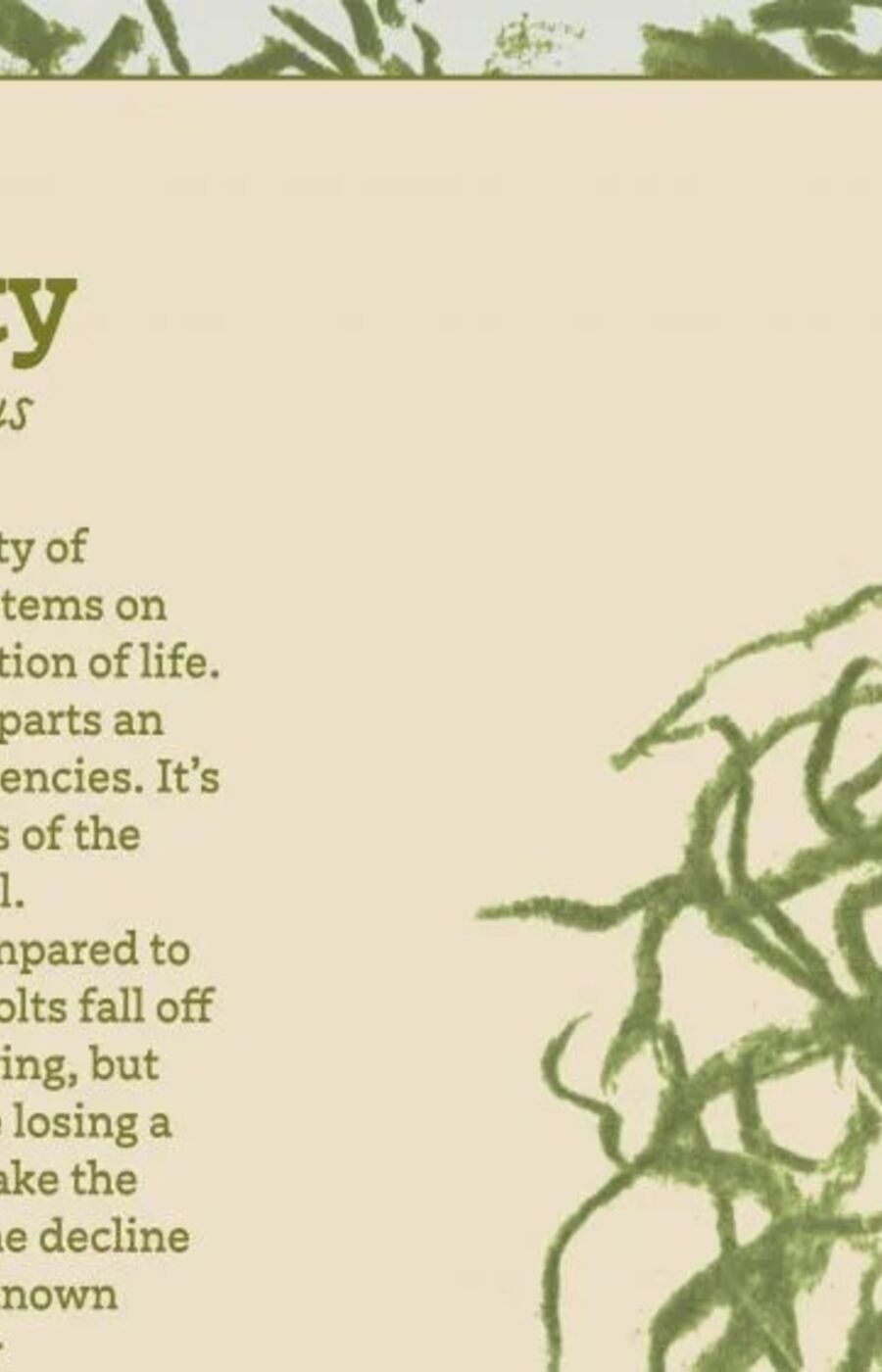 A text about biodiversity with a green illustration of tangled lines. The background has a leafy pattern.