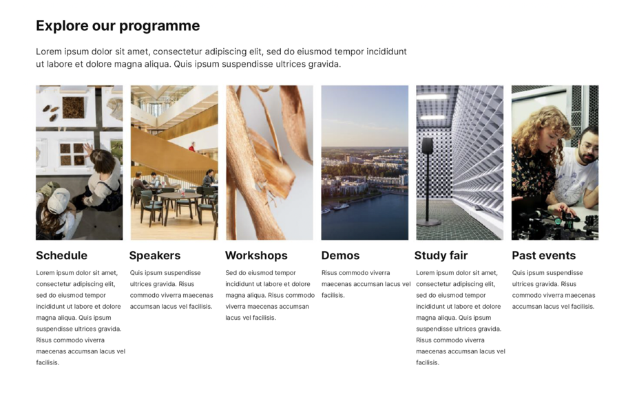 Webpage section titled Explore our programme, with six illustrated cards for events like schedule and workshops.