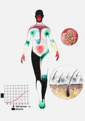 Illustration 1: Cohabitation