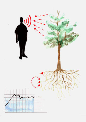 Illustration 4: Humming at 220 hz