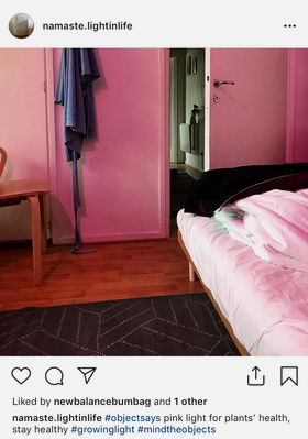 @namaste.lightnlife