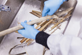 Anna_van_der_Lei_MarjutAlitalo_Cattail(process03)_Bio Materiality_CoDe_LowRes