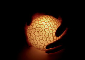 Julia_Lohmann_Ruminant-Bloom_CoDe_LowRes