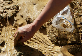 Maarit_Mäkelä_Photo_7__Working_with_soil_CoDe_LowRes