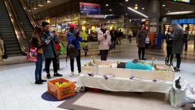 The Human Garden by Jaakko Jänis