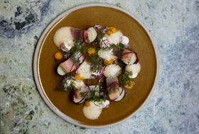 Kalaruokaa lautasella. Kantanen, ravintola Nolla. Kuva Pete Navey