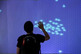 Flock in the mountains. Kuva: Mikko Raskinen.