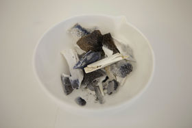 Reindeer bones. Photo: Nur Horsanali