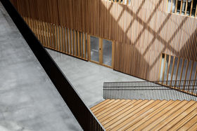 Väre. Kuva: Tuomas Uusheimo