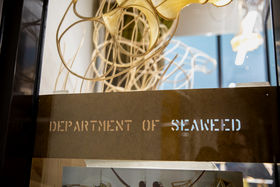 Julia Lohmannin Department of Seaweed. Kuva: Mikko Raskinen