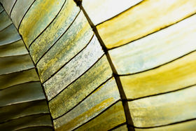 Julia Lohmannin Hidaka Ohmu. Kuva: Mikko Raskinen