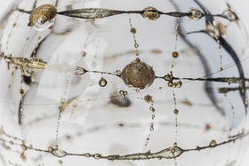 Megan McGlynn_Untitled_LJ1A9925