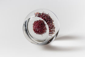 Sushant Passi_Elemental_LJ1A9396