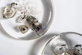 Zuika Owada_Color of Winter_LJ1A0371