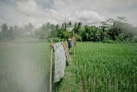 Rice Straw Residue Design 4 Photo by_ Mulia Idznillah