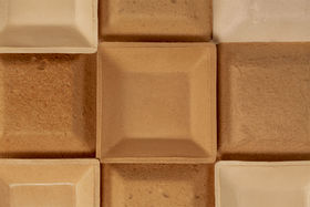 Sustainable Packaging Material for User Acceptance 1