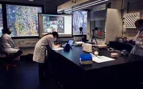 "Recent online/offline-workshop together with I3s-lab in Porto and Waag Society-lab in Amsterdam: developing crispr-in-vitro. Part of the Hybrid Lab Network-project (Erasmus+)"