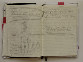 Margherita Pevere_Wombs_Journal_exerpts