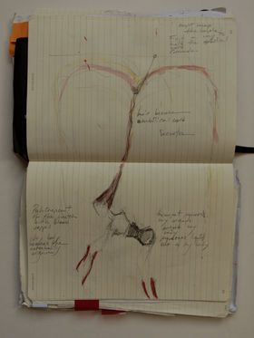 Margherita Pevere_Wombs_Journal_exerpts