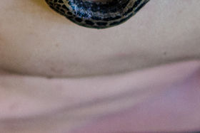 Margherita Pevere_Wombs_W03_pic_by_Sanjin_Kastelan.