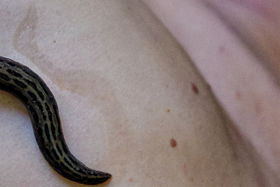 Margherita Pevere_Wombs_W03_pic_by_Sanjin_Kastelan.