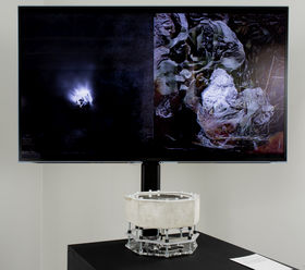 Image Credit: Anne Kinnunen