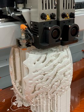 3D printing the skeleton