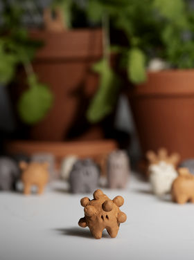 close-up of a little creature