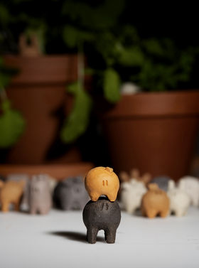 close-up of a little creatures on top of each other