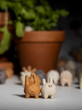 close-up of a little creatures next to each other