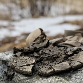 ceramics outside in winter