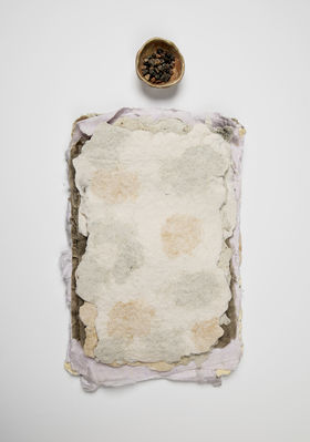 a mycelium piece