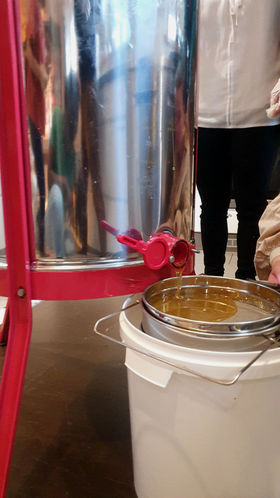 Color photo of a chrome container with fresh honey pouring into a white bucket