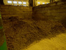 Shredded and dried reed plants in storage, waiting to be pyrolyzed