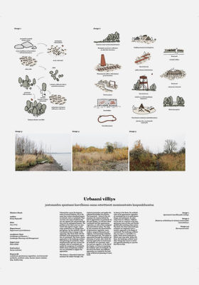 The poster of Ronja Rajamäki's master's thesis work. 