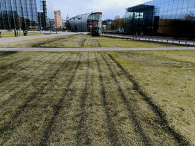 lines of biochar perforations