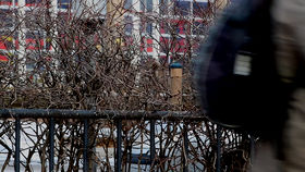 A blurred silhouette of a person who is walking past some bushes during winter time