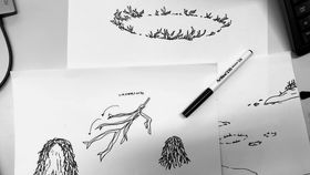 Sketches of algae arranged in a circle