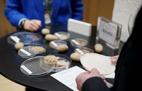 Research stand by Marike Langhans (Impact Forum 2024). Photo by Chien-Chi Kuo.