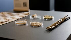 Beyond e-Textiles, Biannual workshop #8. Photo by Mikael Nyberg, University of Turku