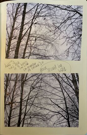 Who captures Whom by Anna Leeman