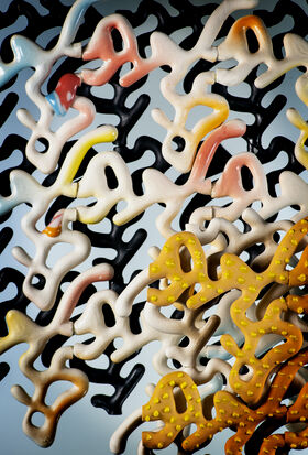 Chaotic Reef by Mattia Anderle